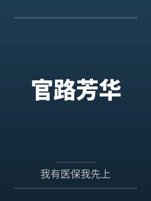 官路芳华