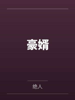 豪婿