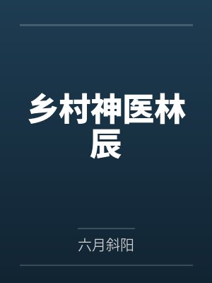 乡村神医林辰