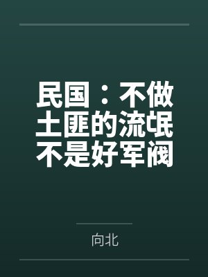 民国:不做土匪的流氓不是好军阀